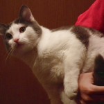 gosha i yasha klavdia serafim koltsovo_07