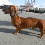 Taks2PKS_300x300 Taks2PKS_300x300